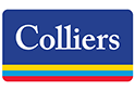 COLLIERS INTERNATIONAL FRANCE